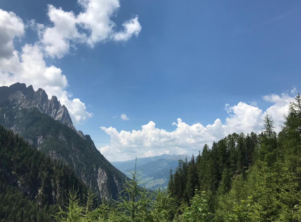The Dolomiti View Apartment Debant Bagian luar foto